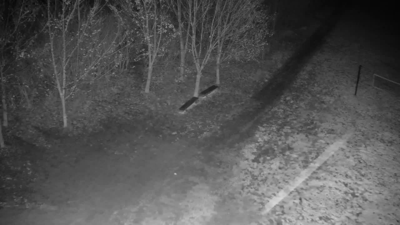 Webcam Ribnik Vrbje – Žalec