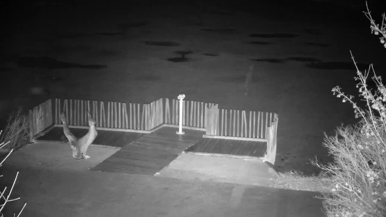 Webcam Ribnik Vrbje – Žalec