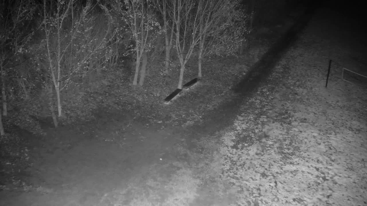 Webcam Ribnik Vrbje – Žalec