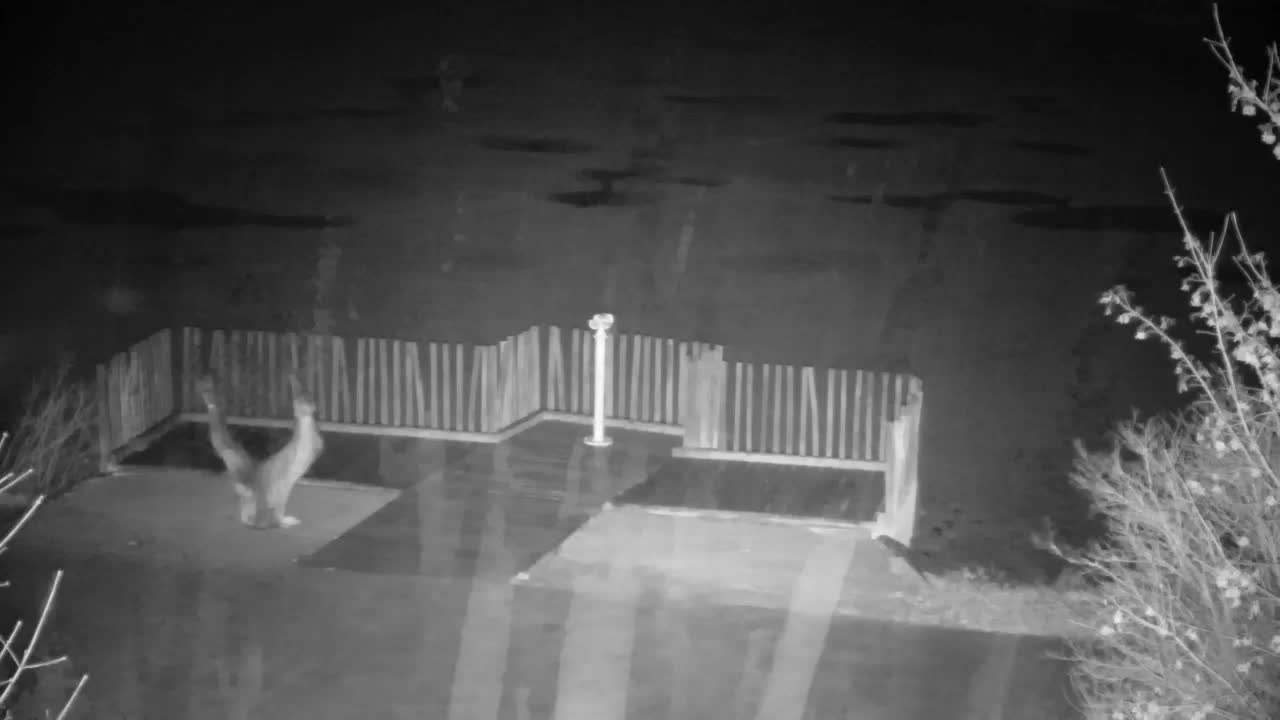 Webcam Ribnik Vrbje – Žalec