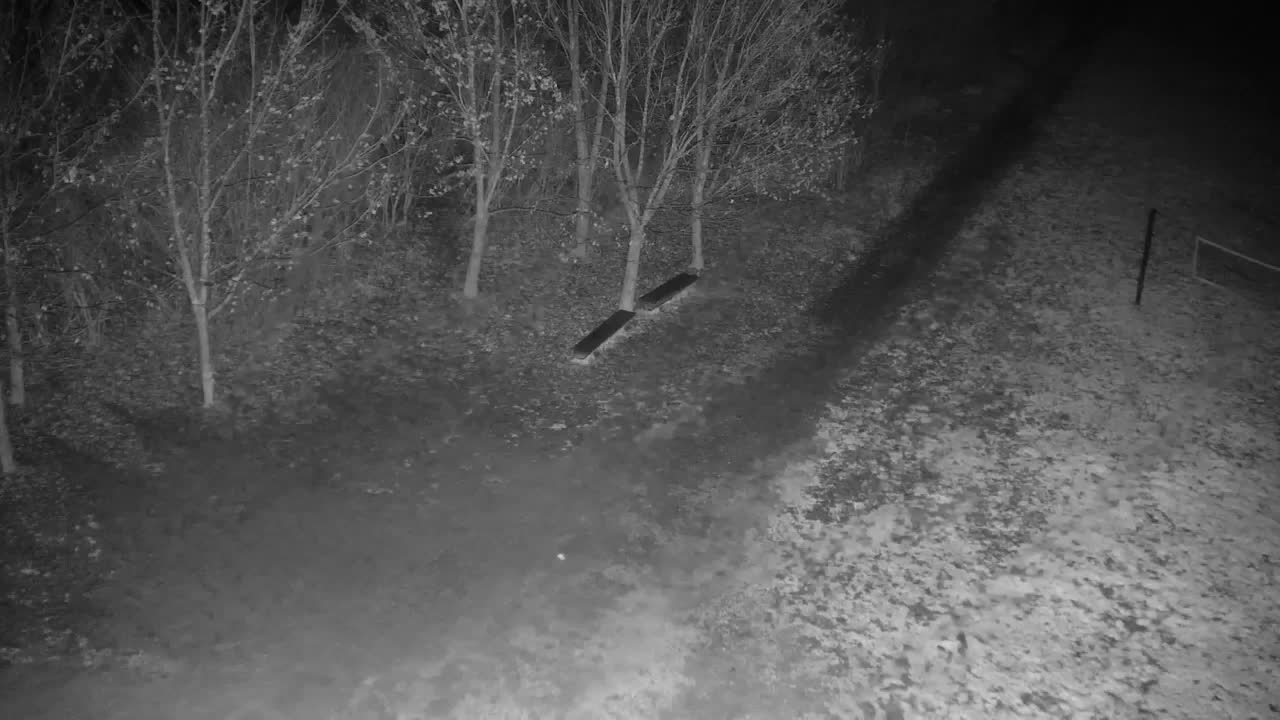 Webcam Ribnik Vrbje – Žalec