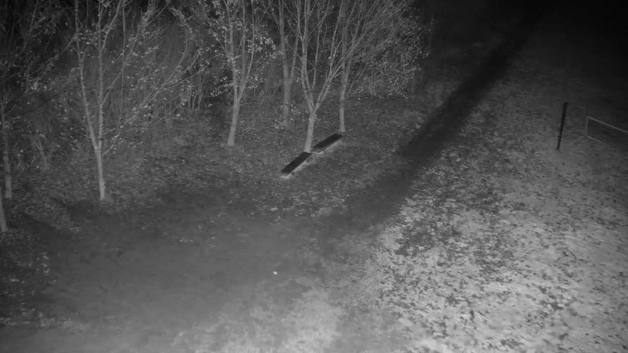 Webcam Ribnik Vrbje – Žalec