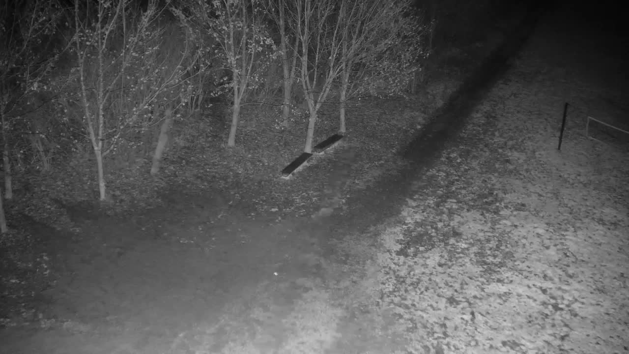 Webcam Ribnik Vrbje – Žalec