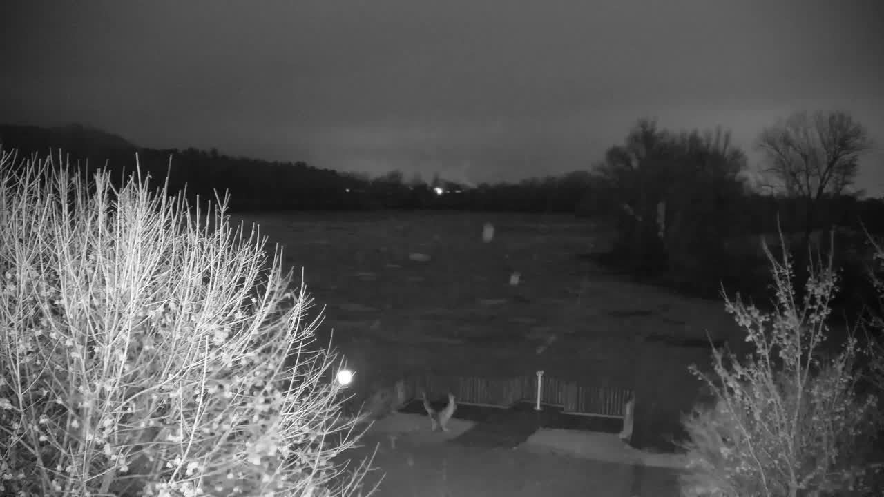 Webcam Ribnik Vrbje – Žalec