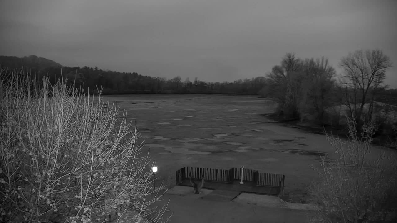 Webcam Ribnik Vrbje – Žalec