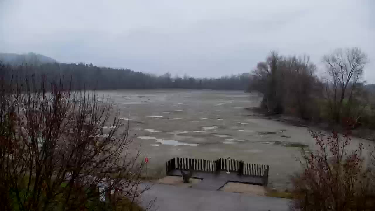 Webcam Ribnik Vrbje – Žalec