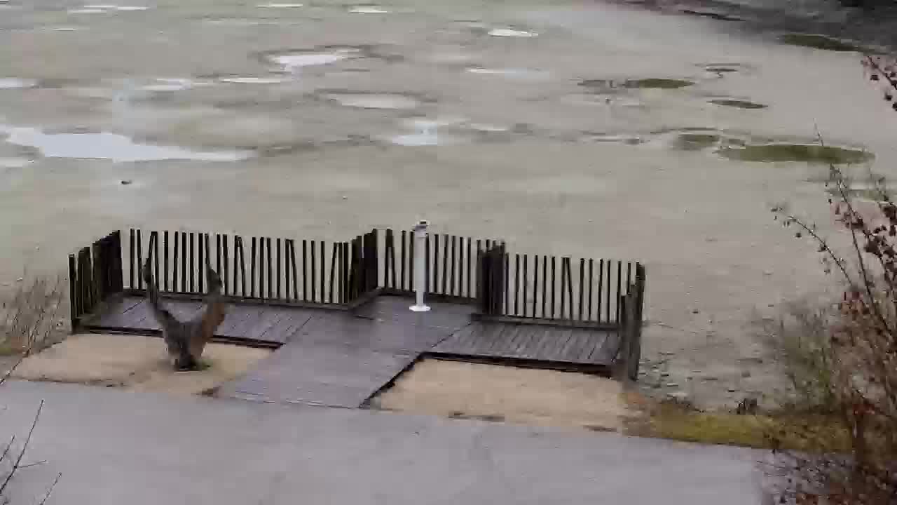 Webcam Ribnik Vrbje – Žalec