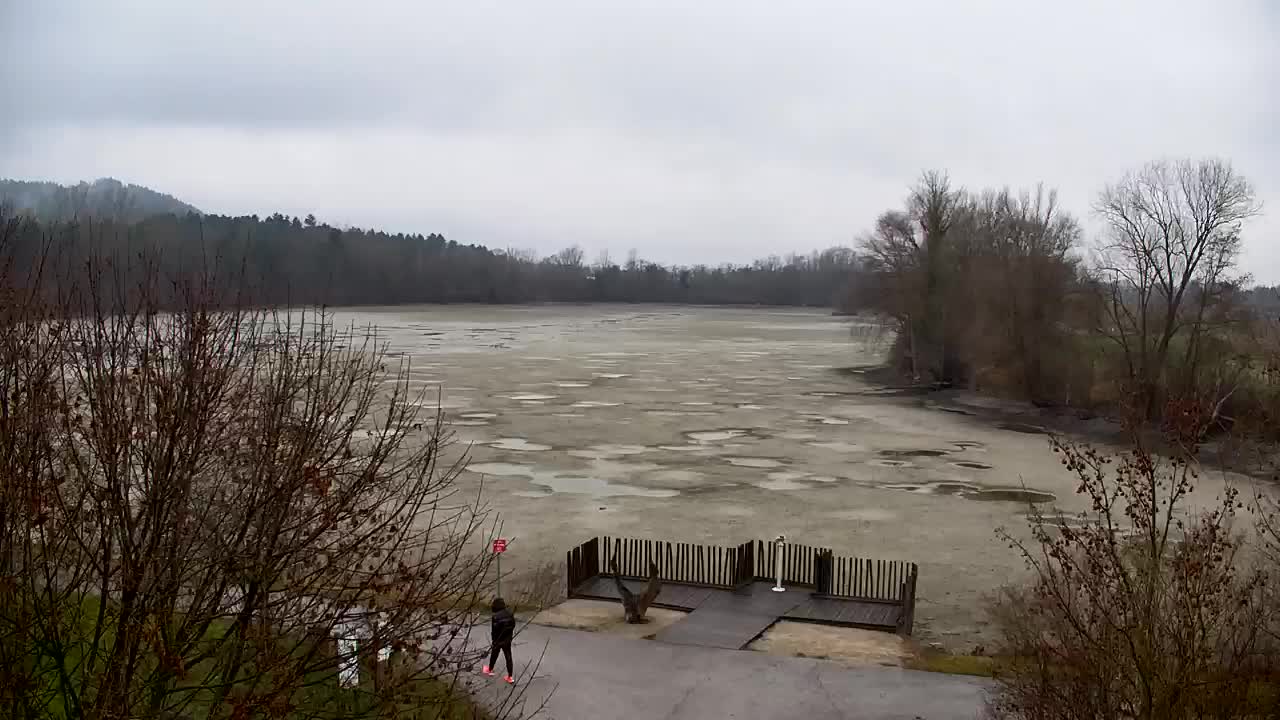 Webcam Ribnik Vrbje – Žalec