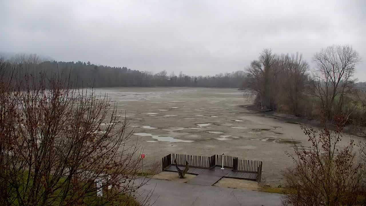 Webcam Ribnik Vrbje – Žalec