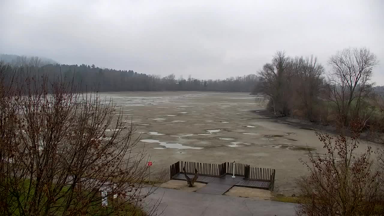 Webcam Ribnik Vrbje – Žalec