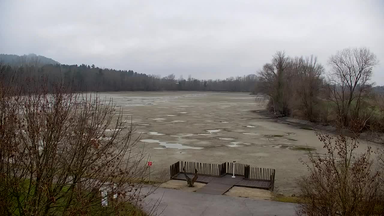 Webcam Ribnik Vrbje – Žalec