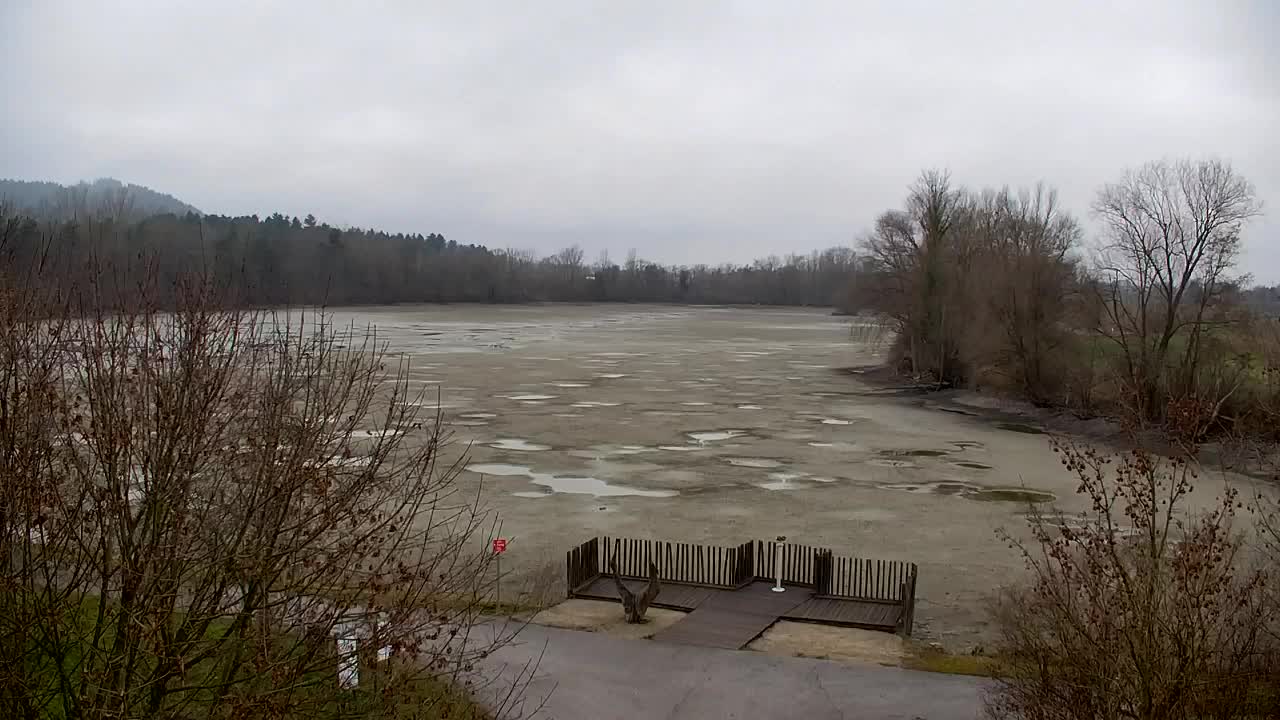 Webcam Ribnik Vrbje – Žalec