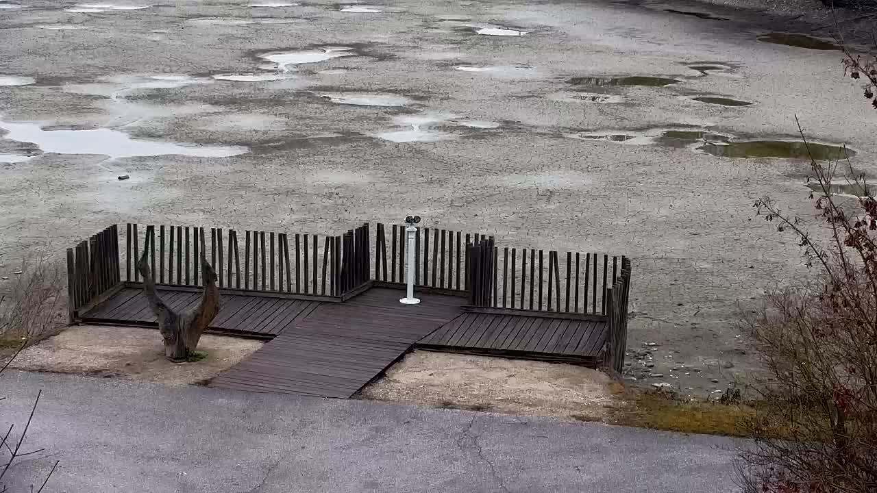 Webcam Ribnik Vrbje – Žalec