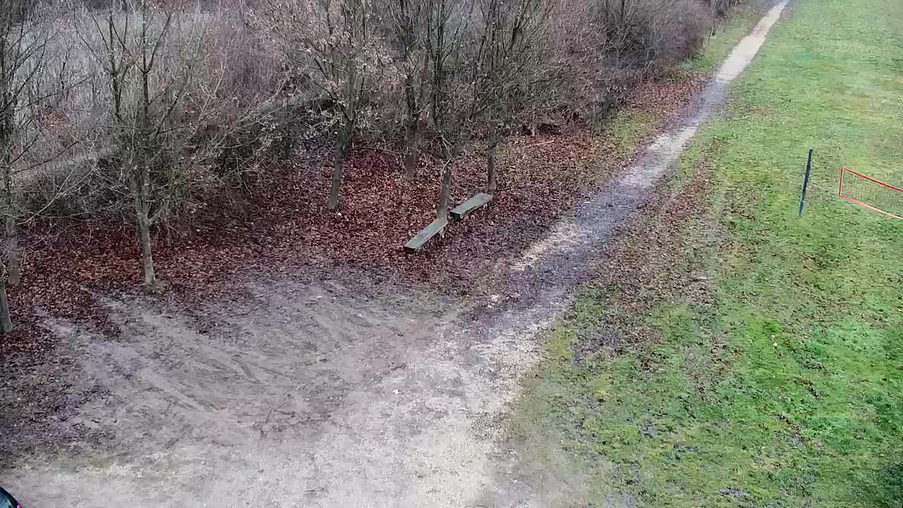 Webcam Ribnik Vrbje – Žalec