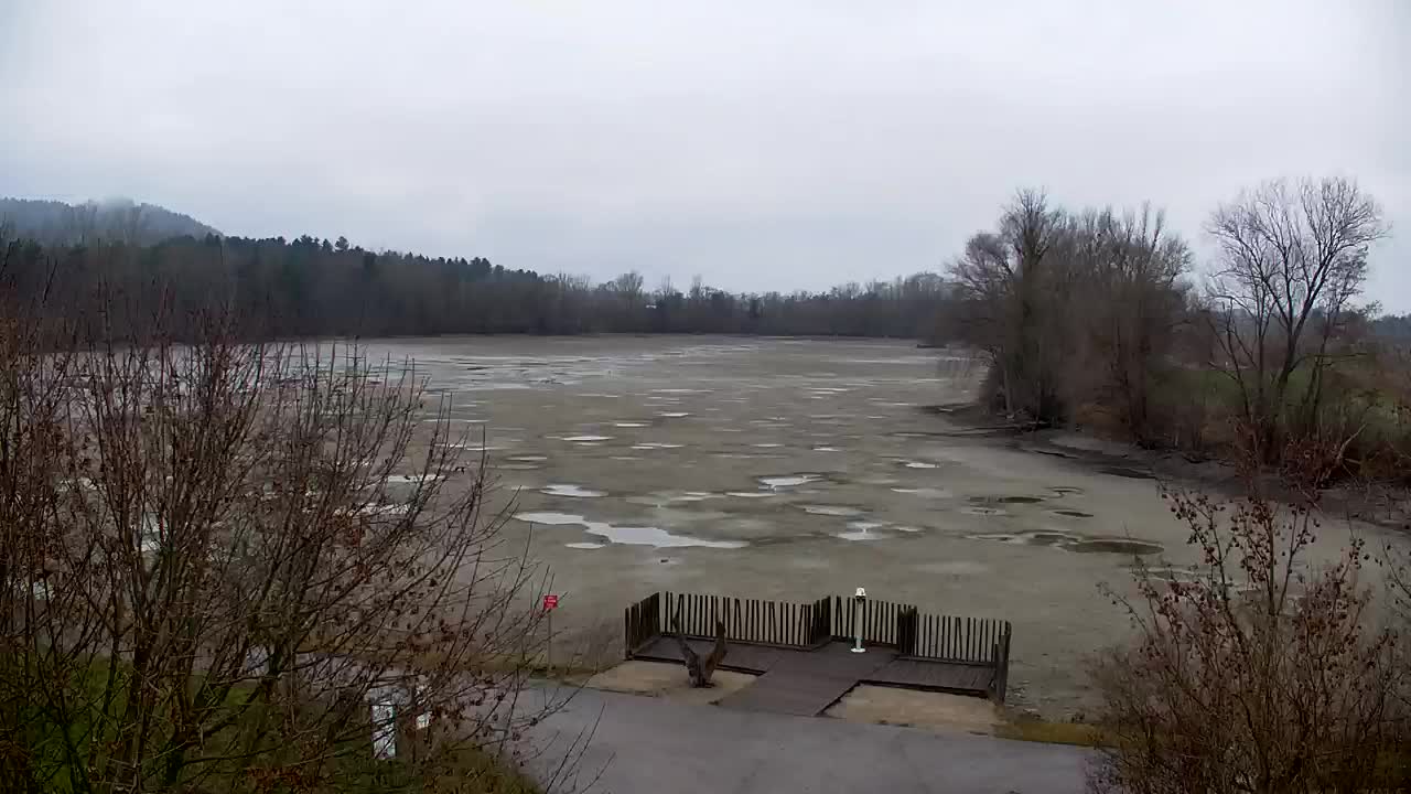 Webcam Ribnik Vrbje – Žalec