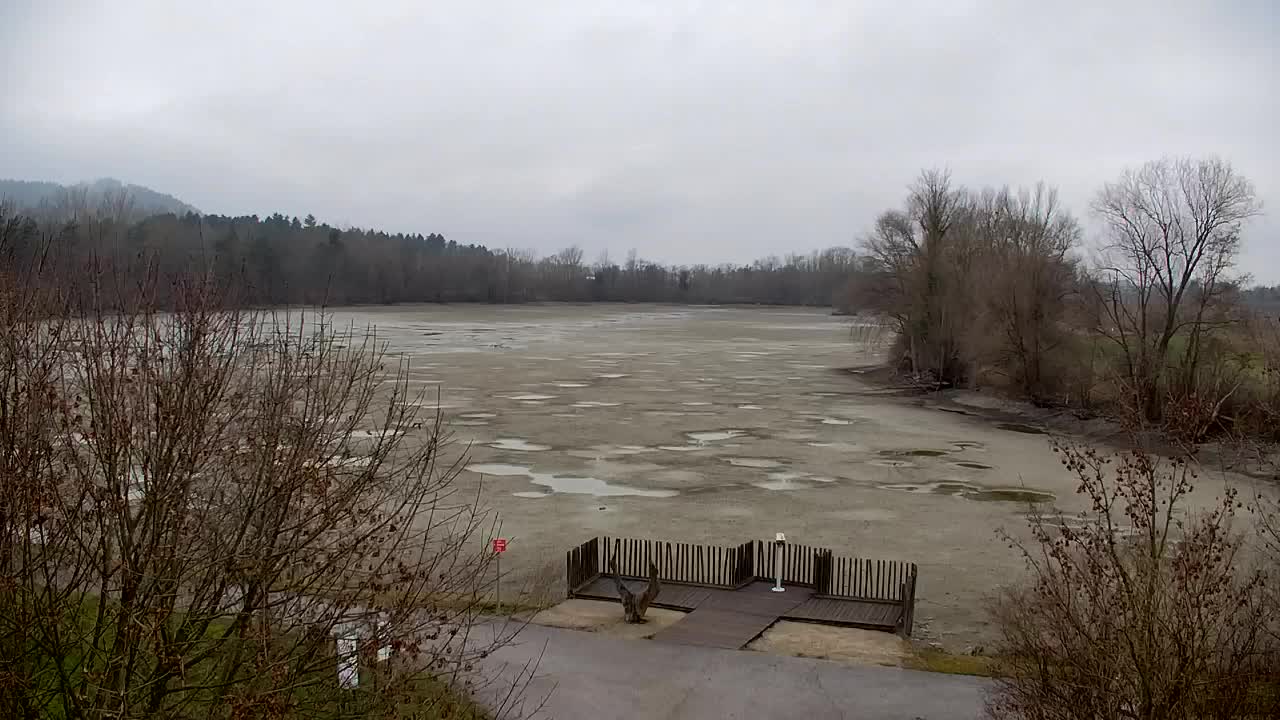 Webcam Ribnik Vrbje – Žalec