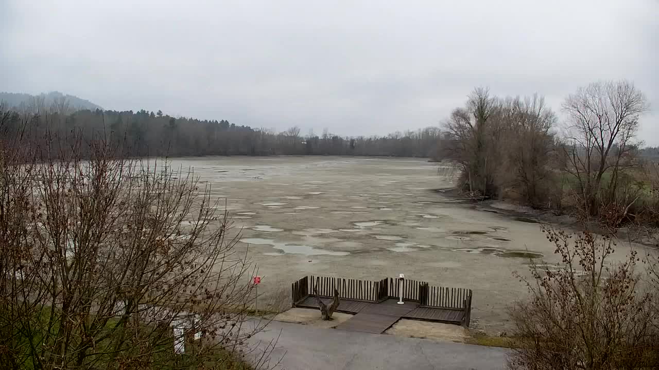 Webcam Ribnik Vrbje – Žalec