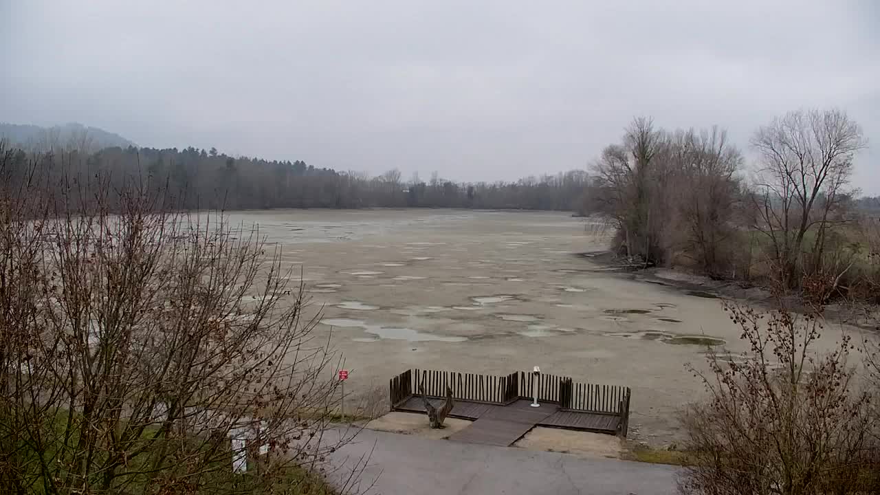 Web kamera Ribnik Vrbje – Žalec