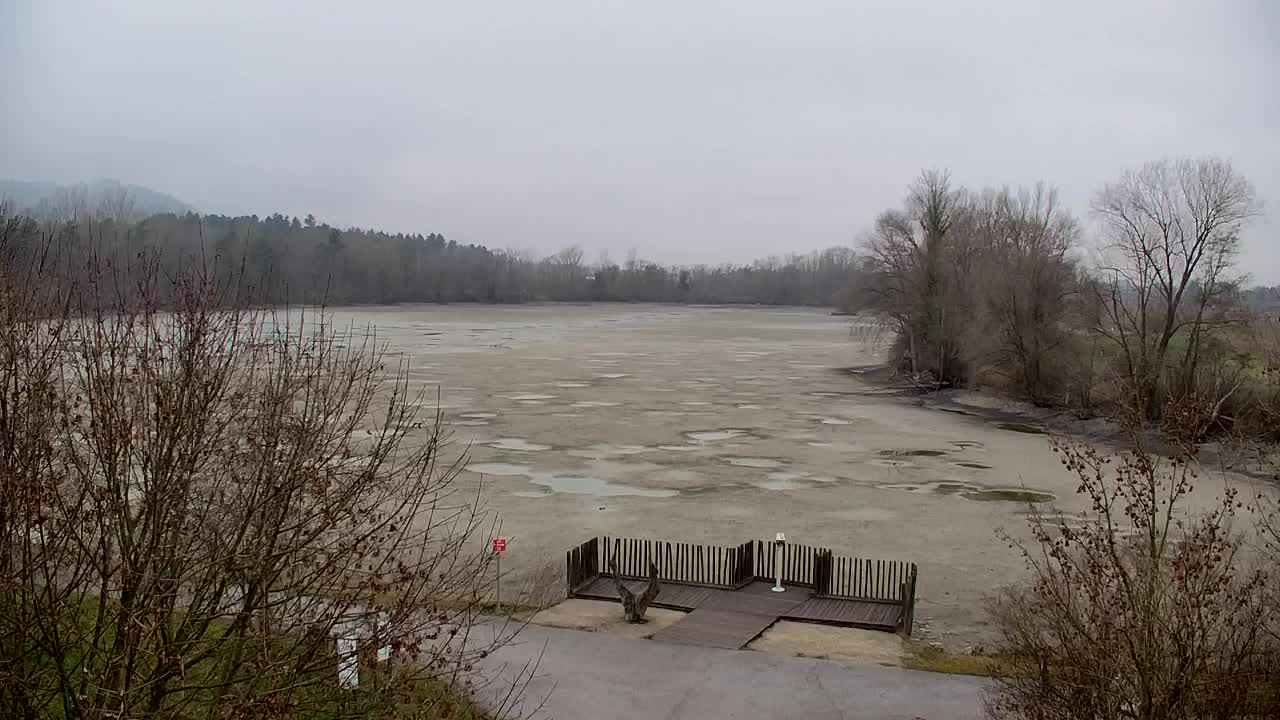 Webcam Ribnik Vrbje – Žalec