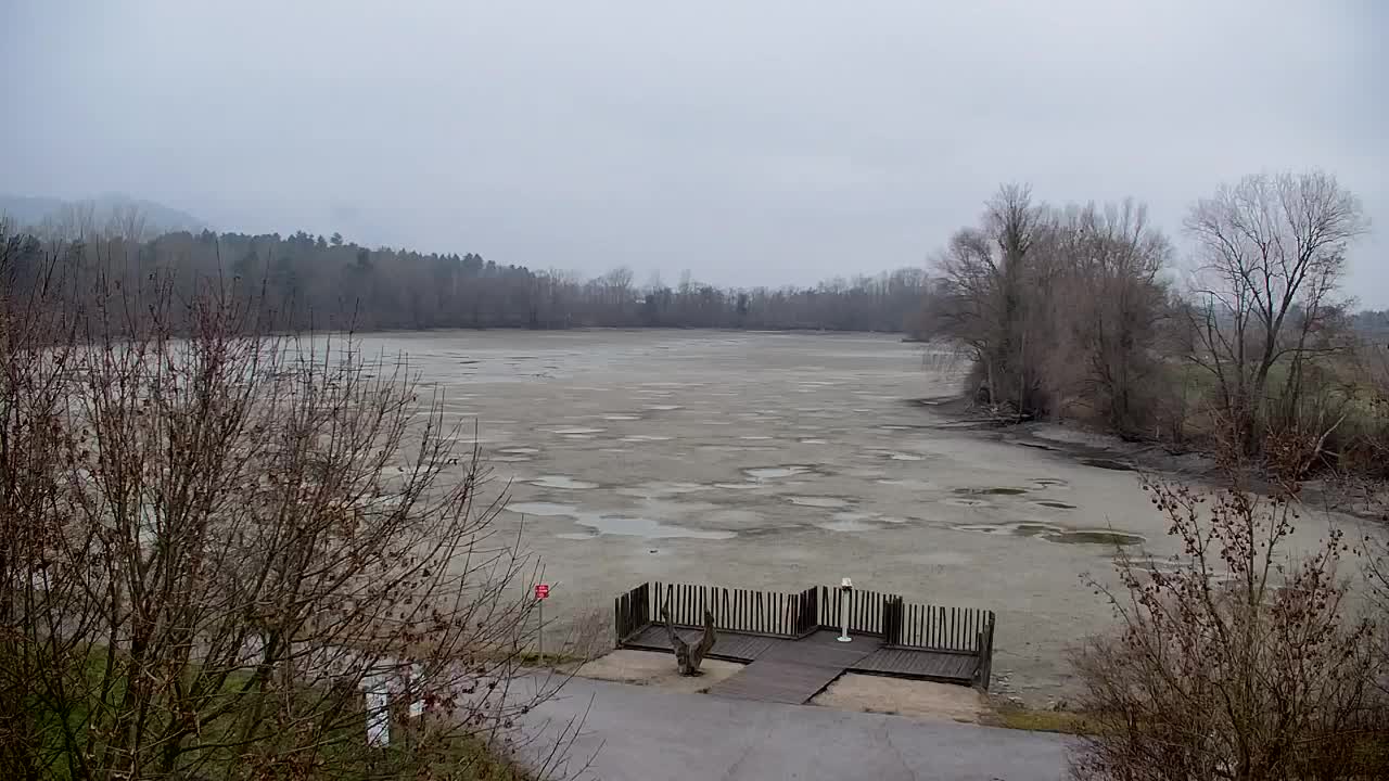 Webcam Ribnik Vrbje – Žalec