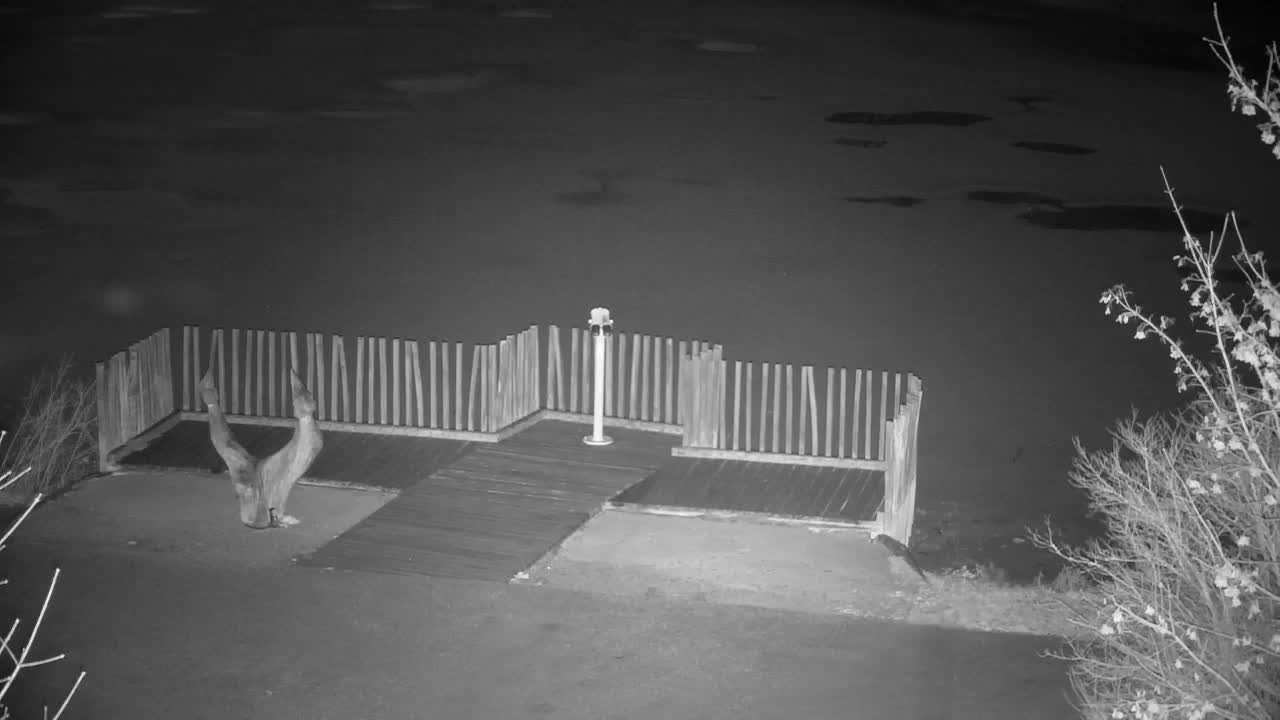 Web kamera Ribnik Vrbje – Žalec