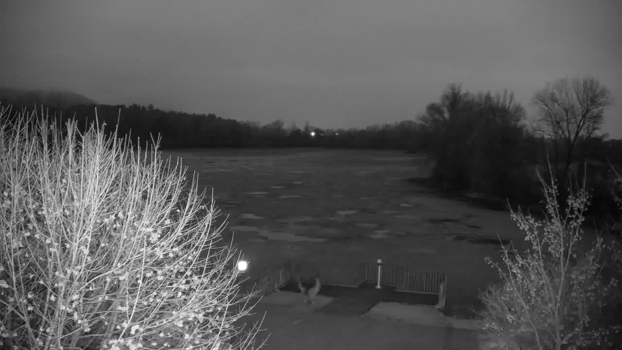 Webcam Ribnik Vrbje – Žalec