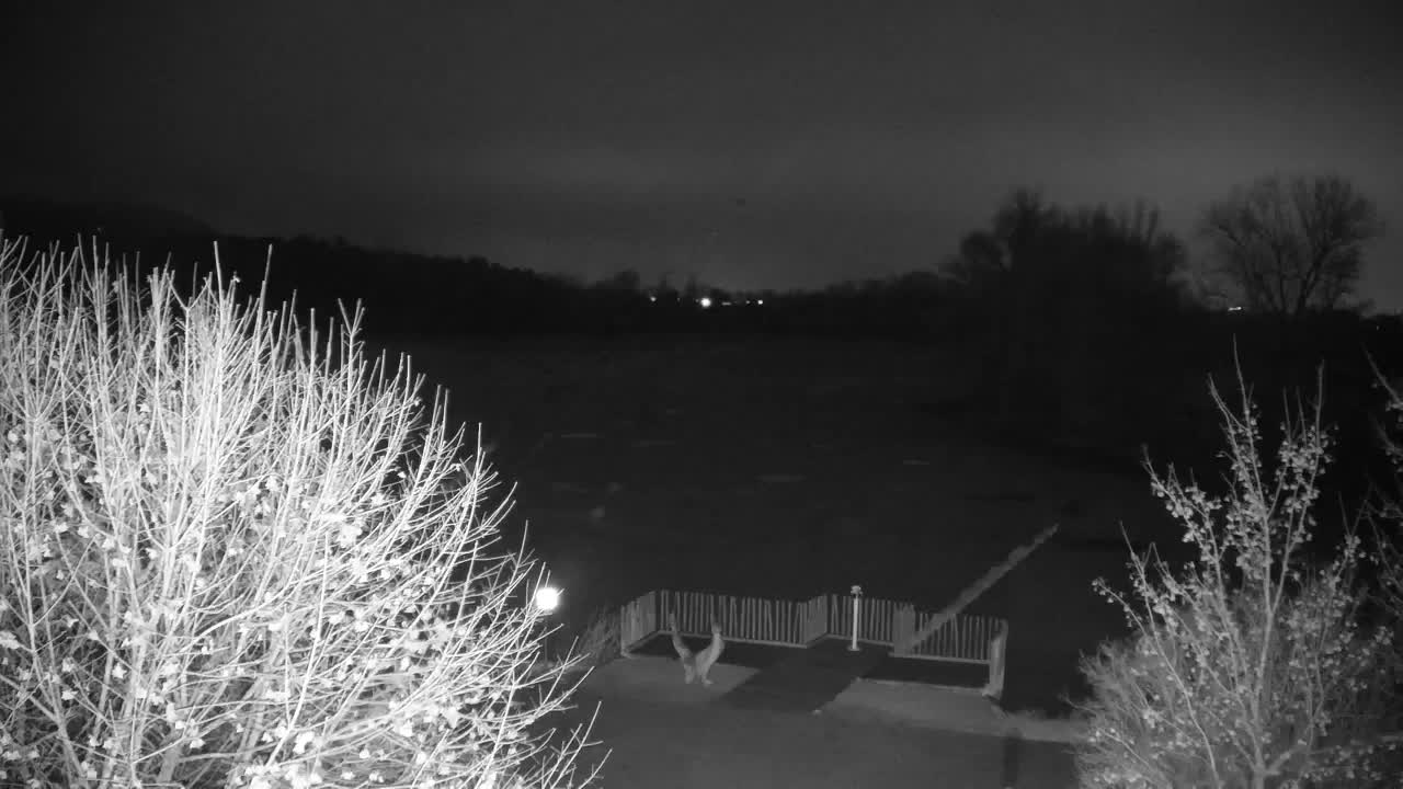 Webcam Ribnik Vrbje – Žalec