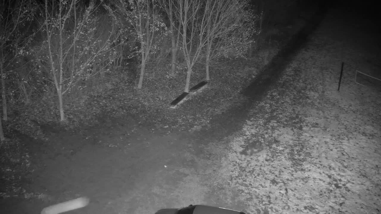 Webcam Ribnik Vrbje – Žalec