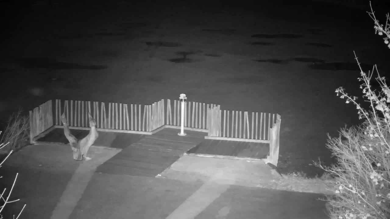 Webcam Ribnik Vrbje – Žalec