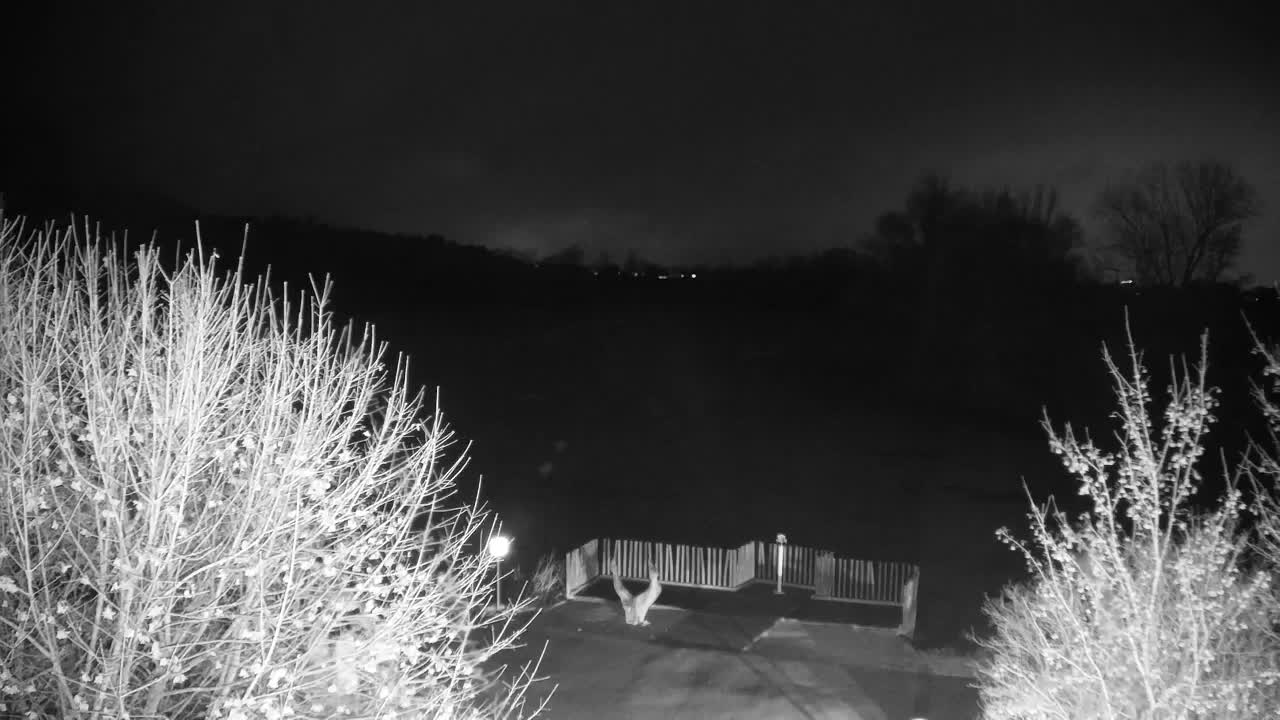 Webcam Ribnik Vrbje – Žalec