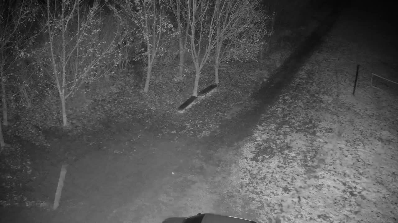 Webcam Ribnik Vrbje – Žalec