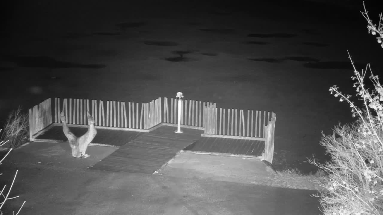 Webcam Ribnik Vrbje – Žalec