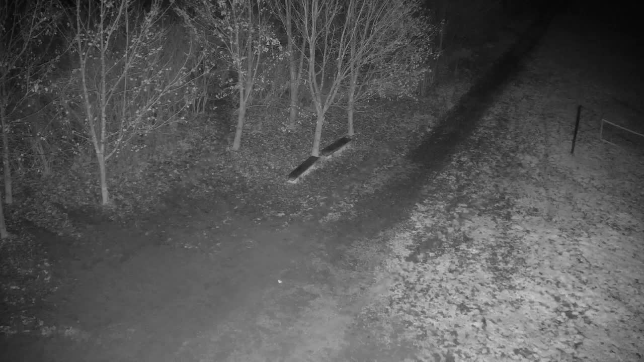 Webcam Ribnik Vrbje – Žalec