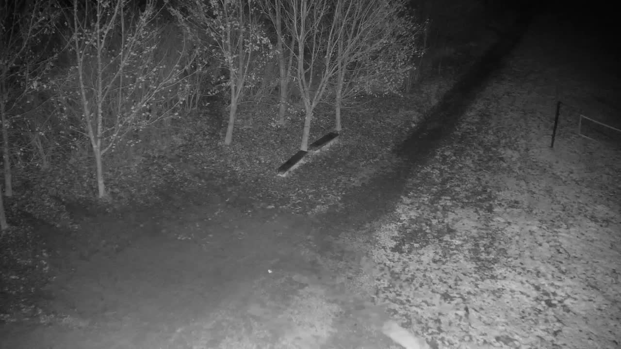 Spletna kamera Ribnik Vrbje – Žalec