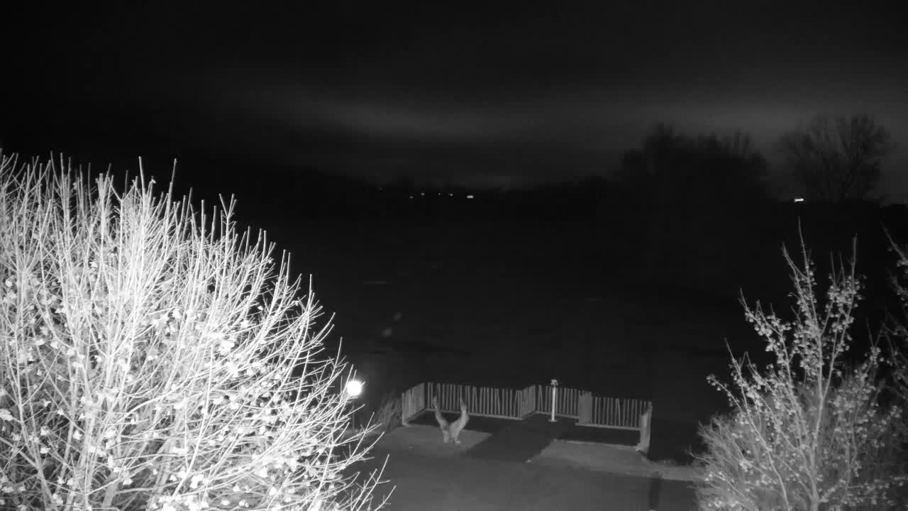 Webcam Ribnik Vrbje – Žalec