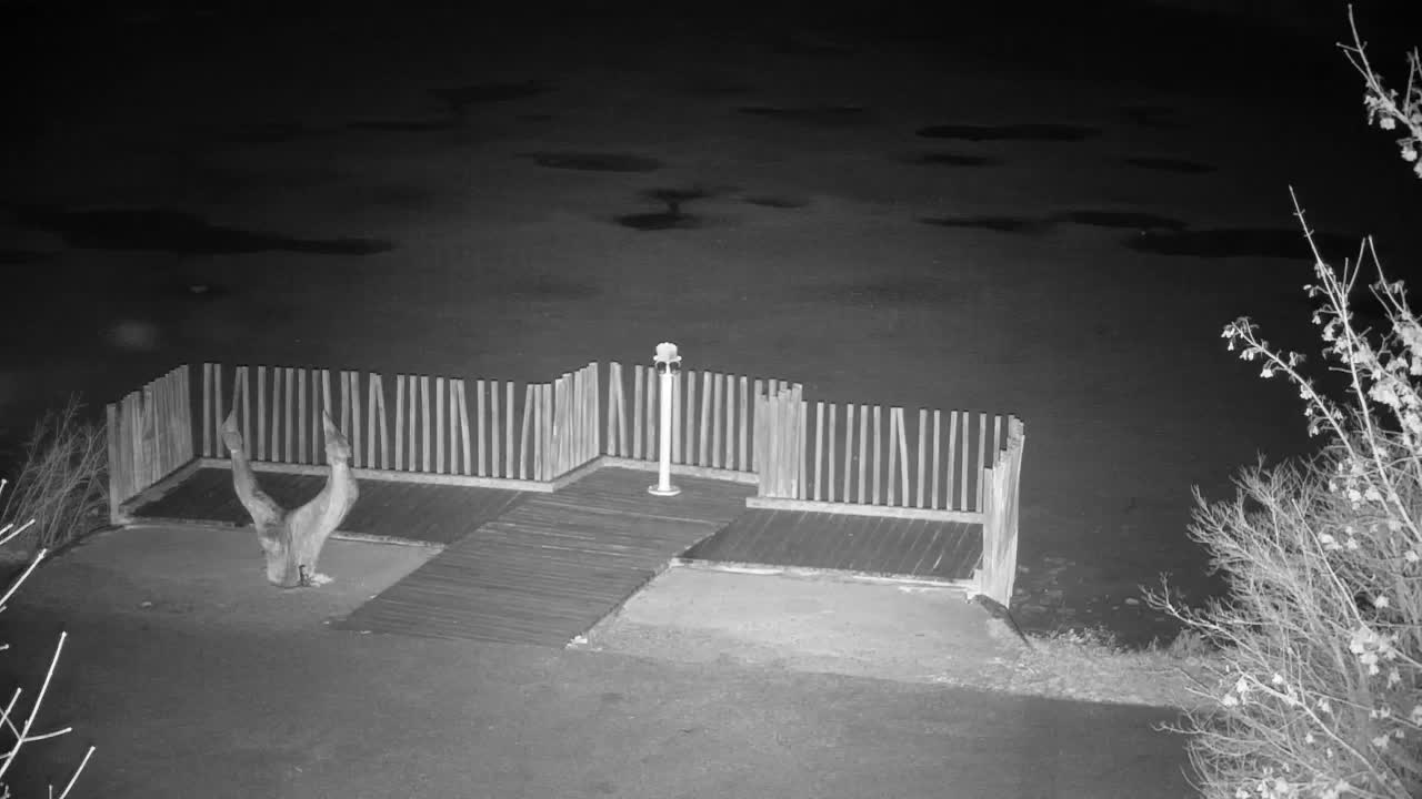 Webcam Ribnik Vrbje – Žalec