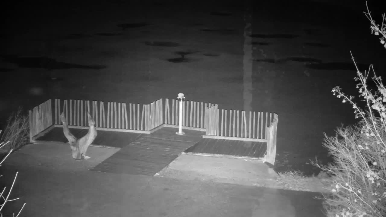 Webcam Ribnik Vrbje – Žalec