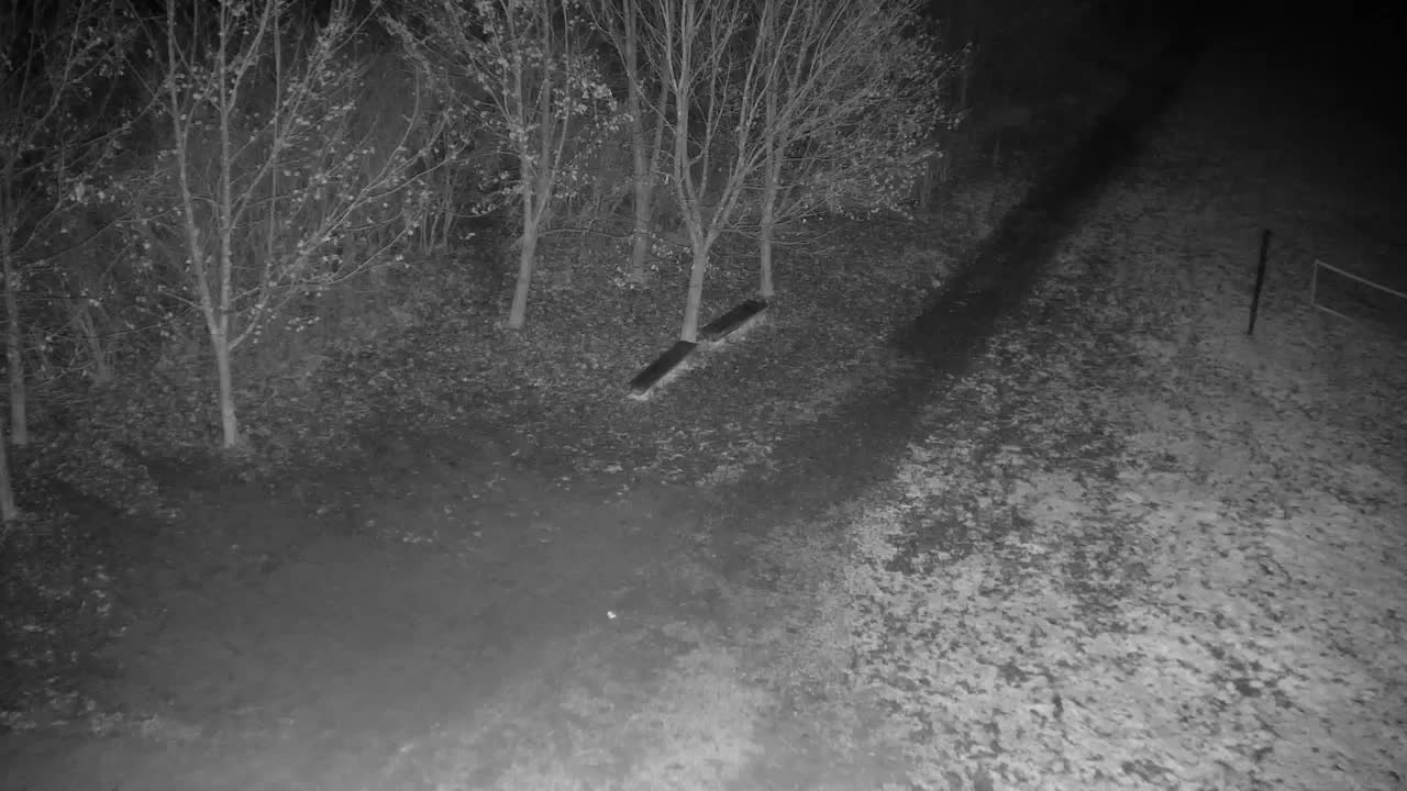 Webcam Ribnik Vrbje – Žalec