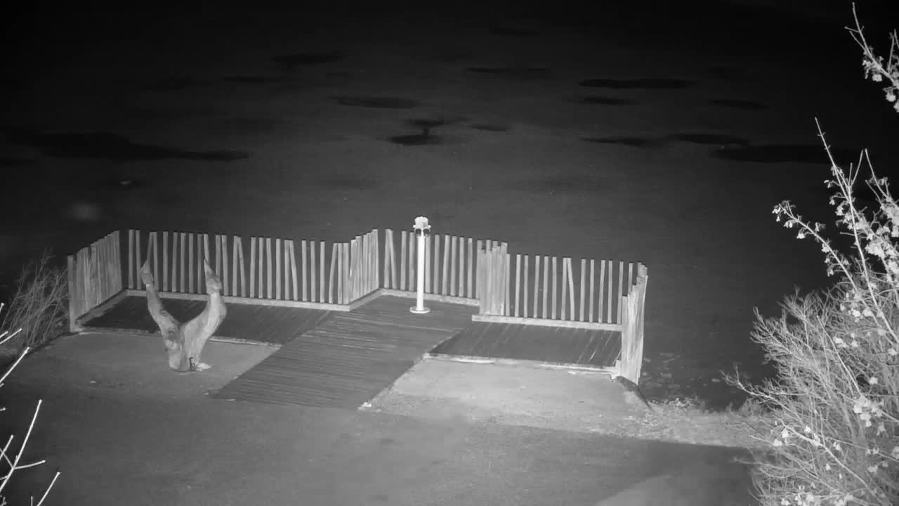 Webcam Ribnik Vrbje – Žalec