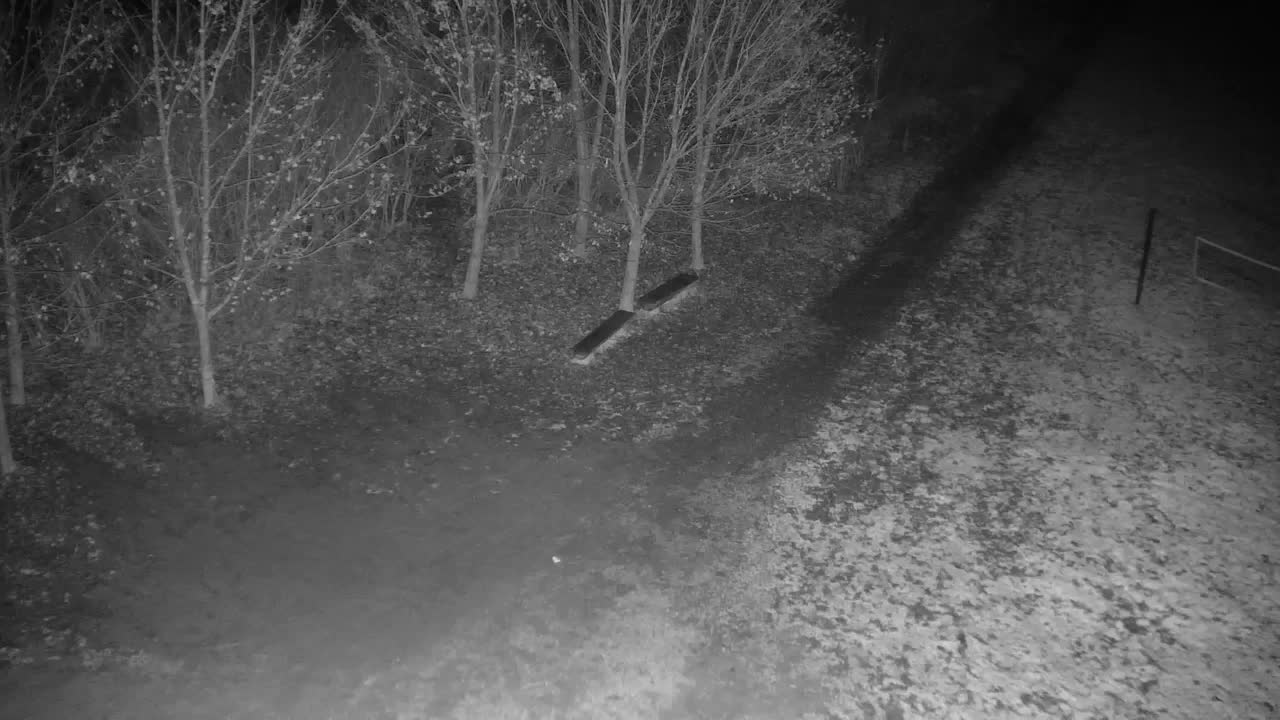 Webcam Ribnik Vrbje – Žalec