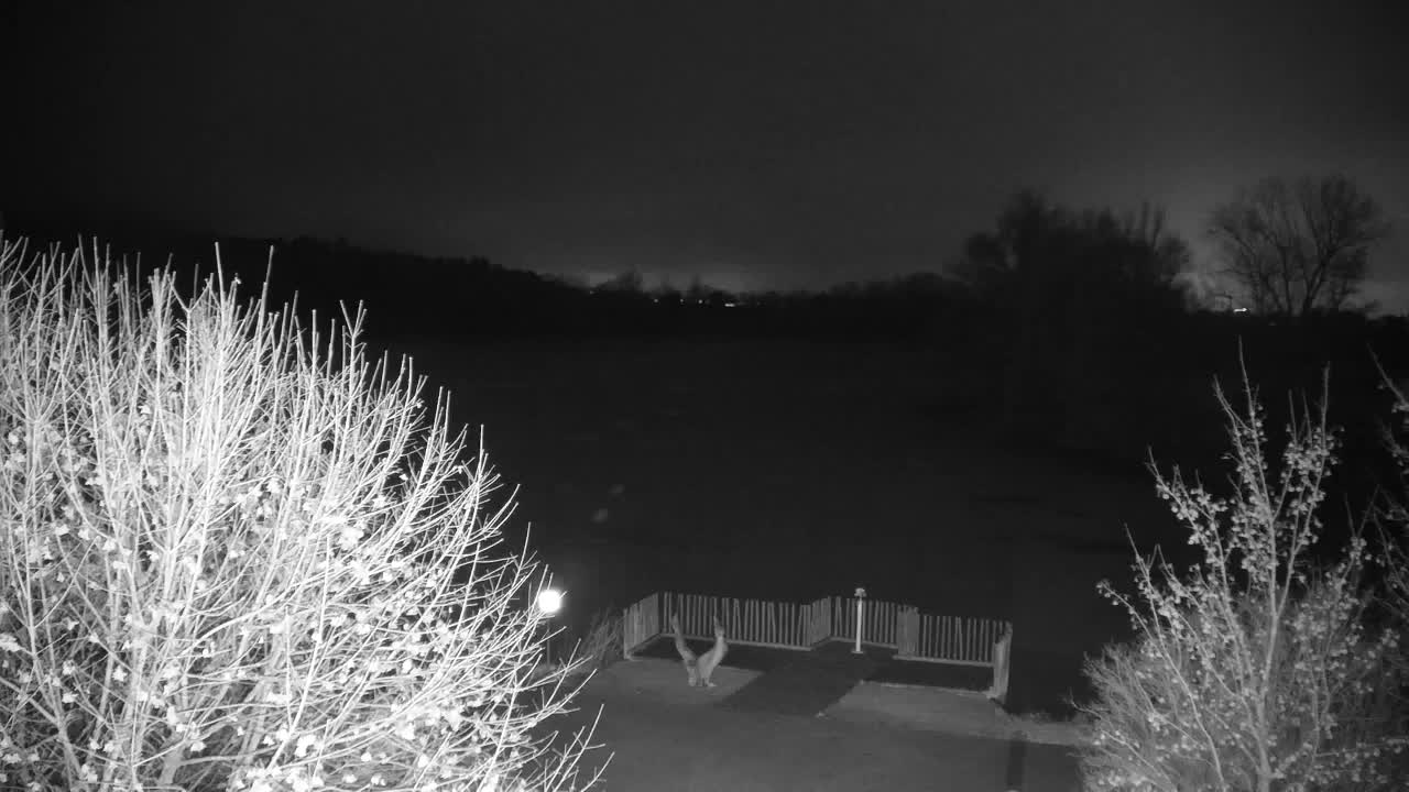 Webcam Ribnik Vrbje – Žalec