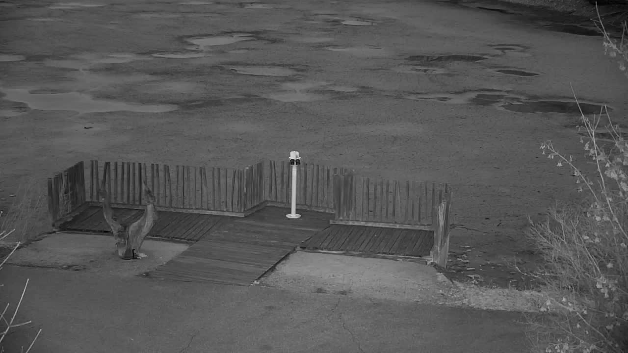 Webcam Ribnik Vrbje – Žalec