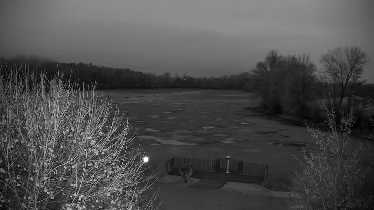 Webcam Ribnik Vrbje – Žalec