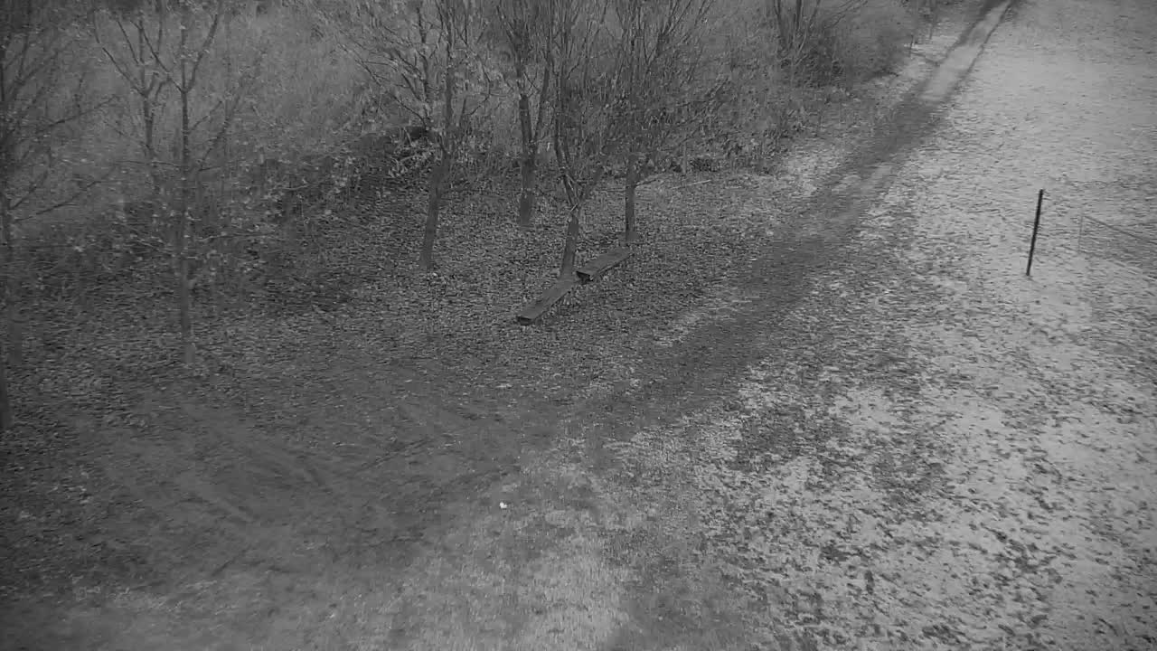 Webcam Ribnik Vrbje – Žalec