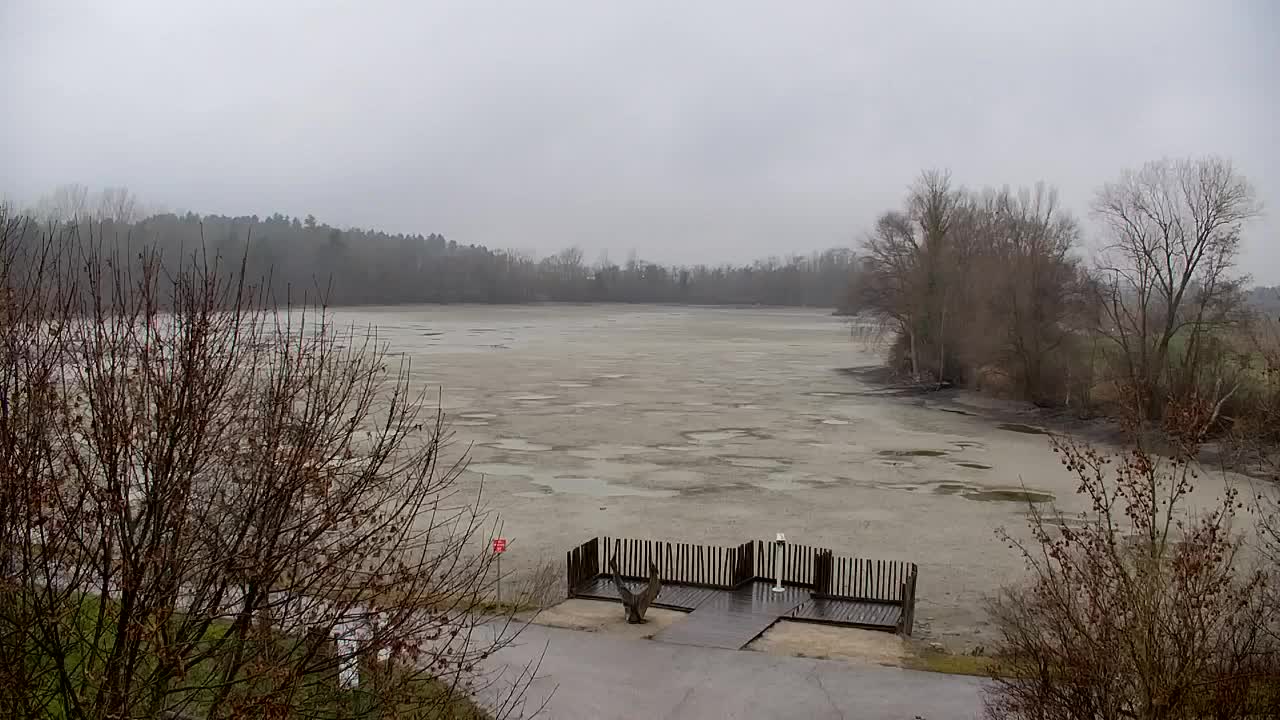 Webcam Ribnik Vrbje – Žalec