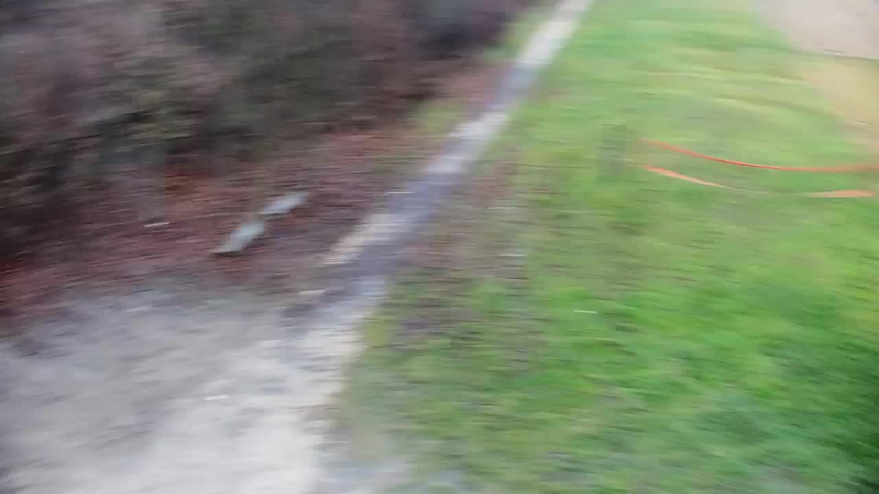 Spletna kamera Ribnik Vrbje – Žalec