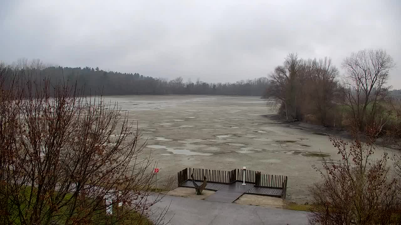 Webcam Ribnik Vrbje – Žalec