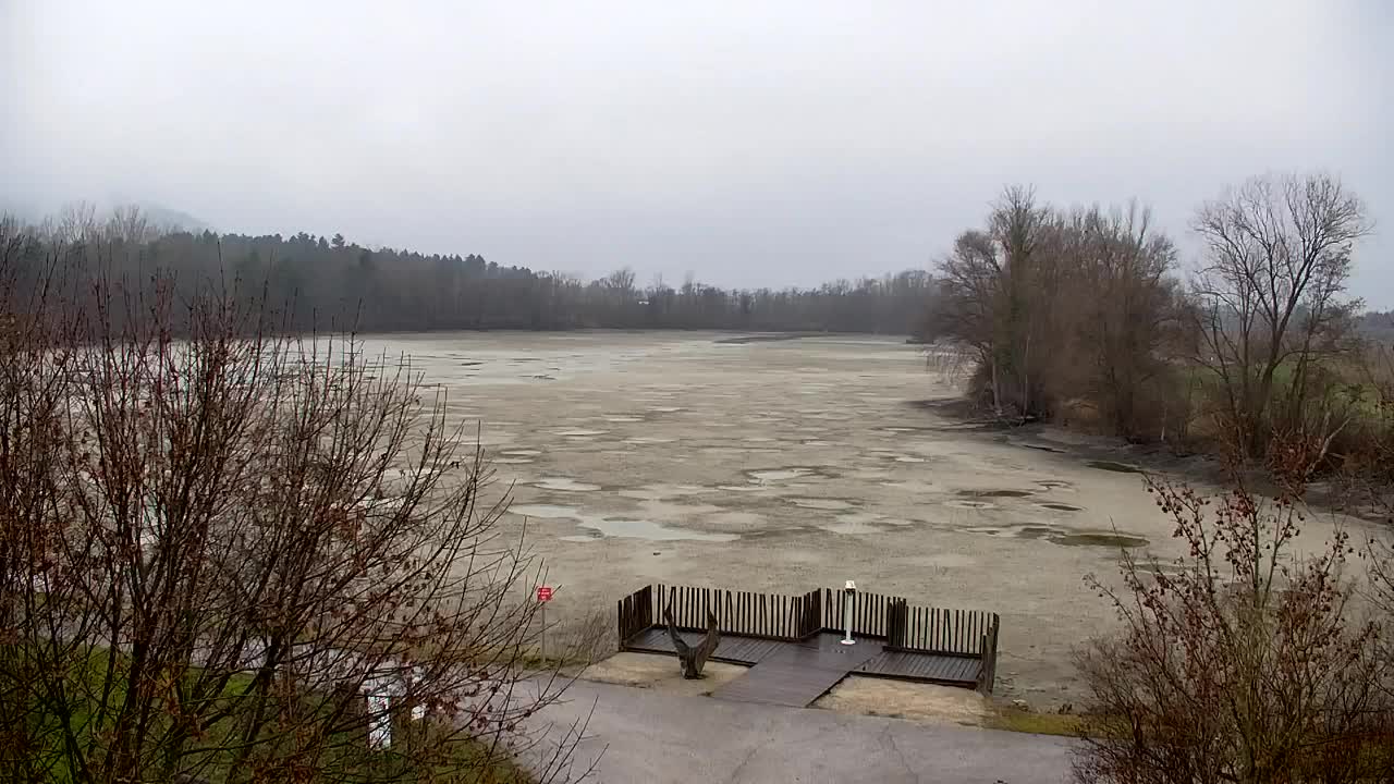 Spletna kamera Ribnik Vrbje – Žalec