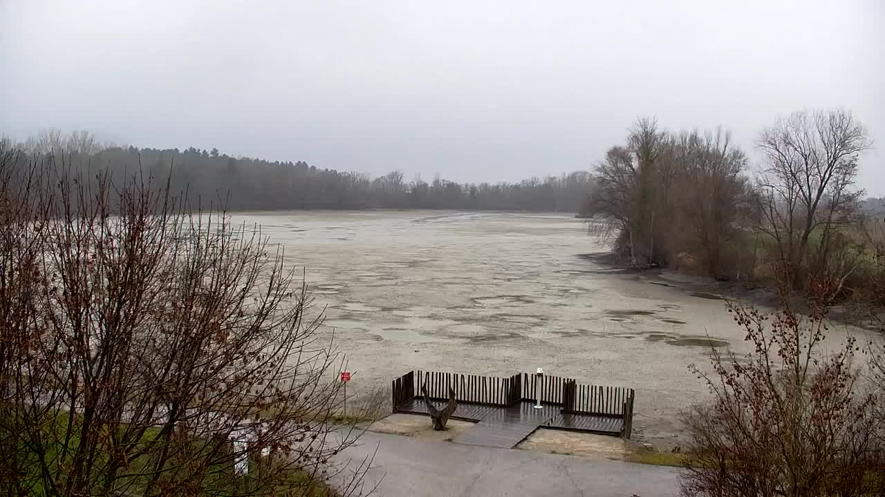 Webcam Ribnik Vrbje – Žalec