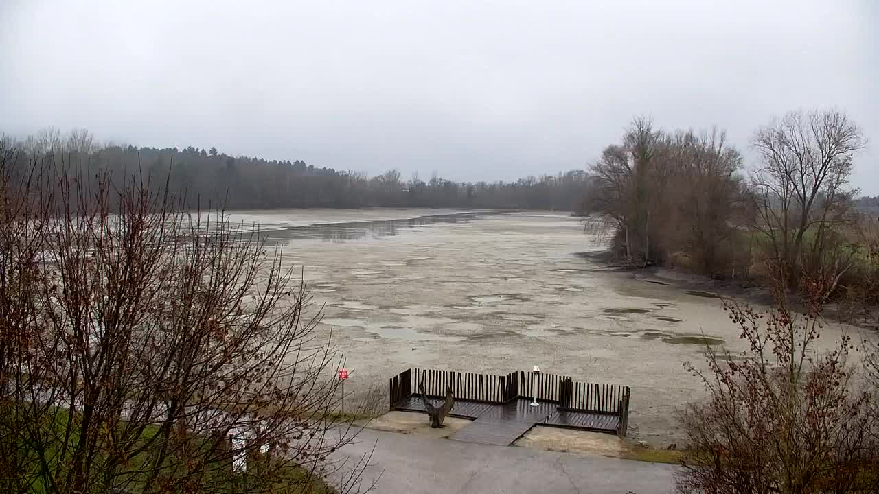 Spletna kamera Ribnik Vrbje – Žalec